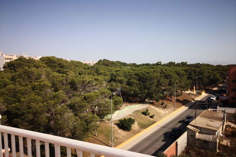 Venta - Piso - apartamento - A-GUARDAMAR DEL SEGURA - Pueblo 