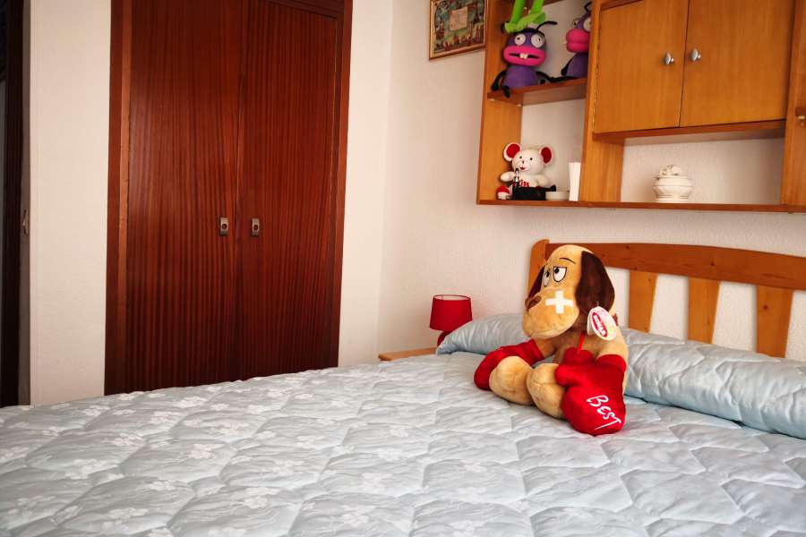 Venta - Piso - apartamento - A-GUARDAMAR DEL SEGURA - Pueblo 