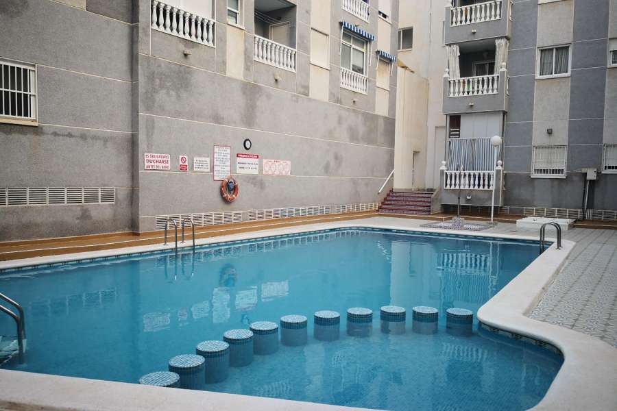 Venta - Piso - apartamento - A-GUARDAMAR DEL SEGURA - Mercadona (300m playa)