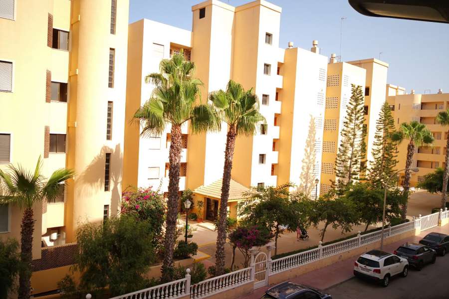 Venta - Piso - apartamento - A-GUARDAMAR DEL SEGURA - Mercadona (300m playa)