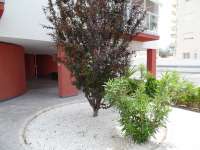 Venta - Piso - apartamento - A-GUARDAMAR DEL SEGURA - Puerto MasyMas