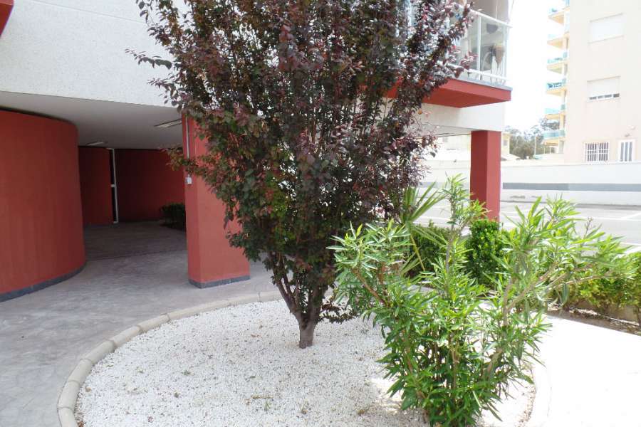 Venta - Piso - apartamento - A-GUARDAMAR DEL SEGURA - Puerto MasyMas