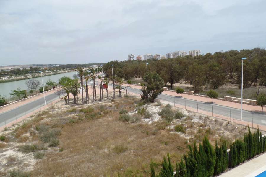 Venta - Piso - apartamento - A-GUARDAMAR DEL SEGURA - Puerto MasyMas