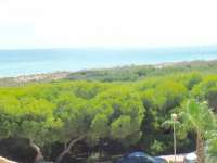 Venta - Chalet - Villa - A-GUARDAMAR DEL SEGURA - Pueblo 