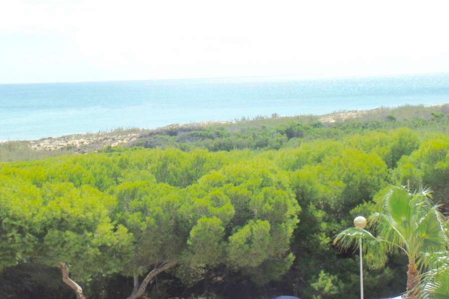 Venta - Chalet - Villa - A-GUARDAMAR DEL SEGURA - Pueblo 