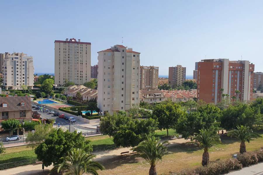 Alquiler - Piso - apartamento - A-ALICANTE CAPITAL - SAN JUAN PLAYA-CABO HUERTAS