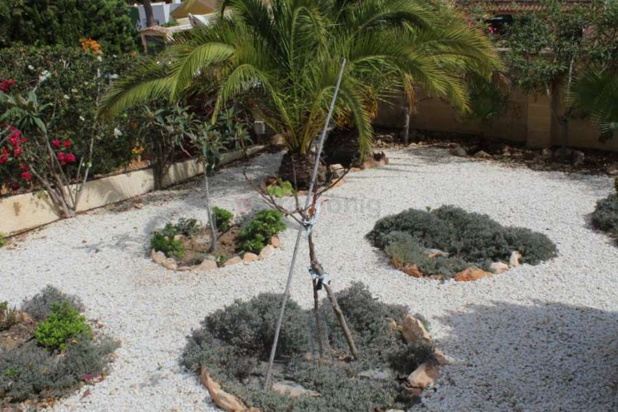 Venta - Chalet - Villa - A-TORREVIEJA - Los Balcones