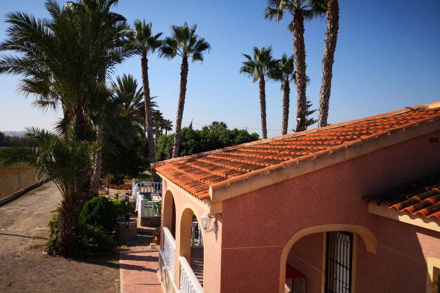 Venta - FInca - casa campo - Daya Vieja - Puebla de Rocamora