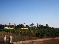 Venta - FInca - casa campo - Daya Vieja - Puebla de Rocamora