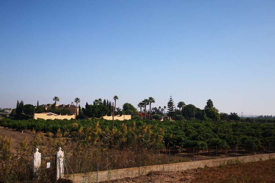 Venta - FInca - casa campo - Daya Vieja - Puebla de Rocamora