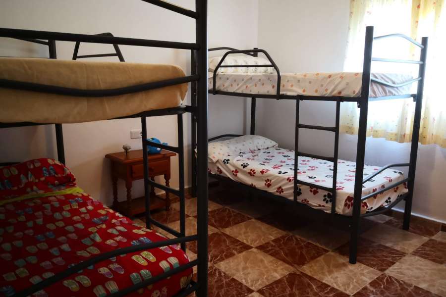 Venta - FInca - casa campo - Daya Vieja - Puebla de Rocamora