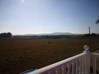 Venta - FInca - casa campo - Daya Vieja - Puebla de Rocamora