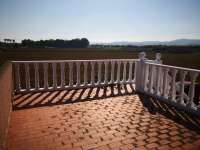 Venta - FInca - casa campo - Daya Vieja - Puebla de Rocamora