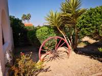 Venta - FInca - casa campo - Daya Vieja - Puebla de Rocamora