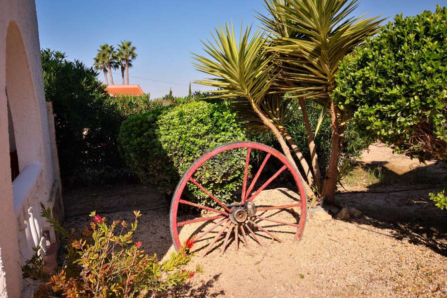 Venta - FInca - casa campo - Daya Vieja - Puebla de Rocamora