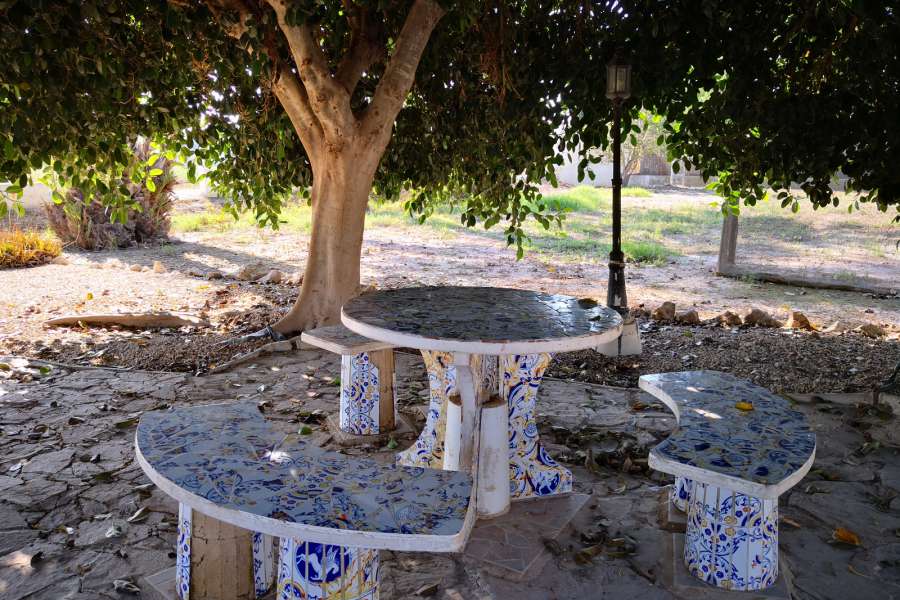 Venta - FInca - casa campo - Daya Vieja - Puebla de Rocamora