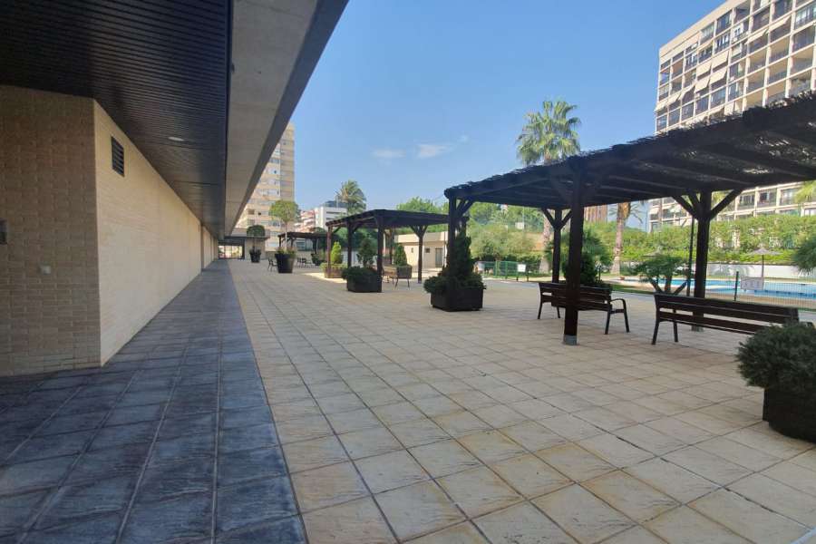 Alquiler - Piso - apartamento - A-ALICANTE CAPITAL - SAN JUAN PLAYA-CABO HUERTAS