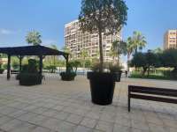 Alquiler - Piso - apartamento - A-ALICANTE CAPITAL - SAN JUAN PLAYA-CABO HUERTAS