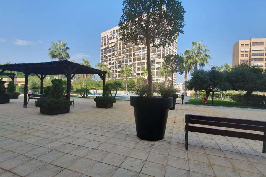 Alquiler - Piso - apartamento - A-ALICANTE CAPITAL - SAN JUAN PLAYA-CABO HUERTAS