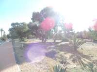 Venta - Piso - apartamento - A-GUARDAMAR DEL SEGURA - Puerto Deportivo