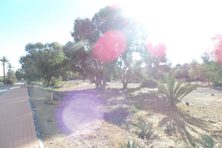 Venta - Piso - apartamento - A-GUARDAMAR DEL SEGURA - Puerto Deportivo