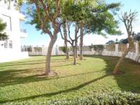 Venta - Piso - apartamento - A-GUARDAMAR DEL SEGURA - Puerto Deportivo