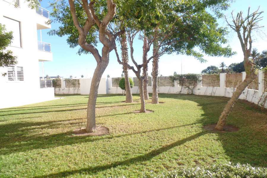 Venta - Piso - apartamento - A-GUARDAMAR DEL SEGURA - Puerto Deportivo