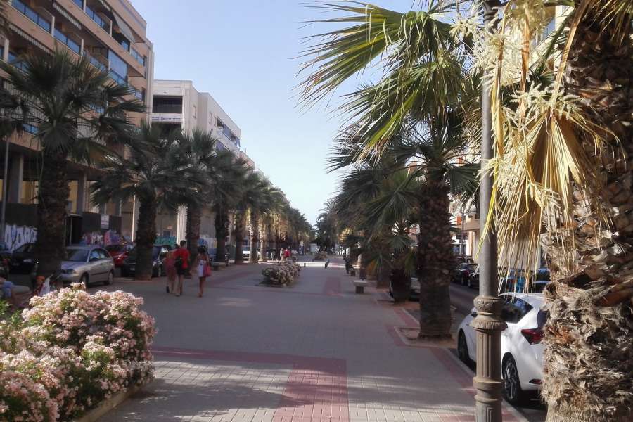 Venta - Piso - apartamento - A-GUARDAMAR DEL SEGURA - Cervantes-Playa