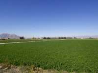 Venta - Chalet - Villa - San Bartolome - San BartolomÃ©