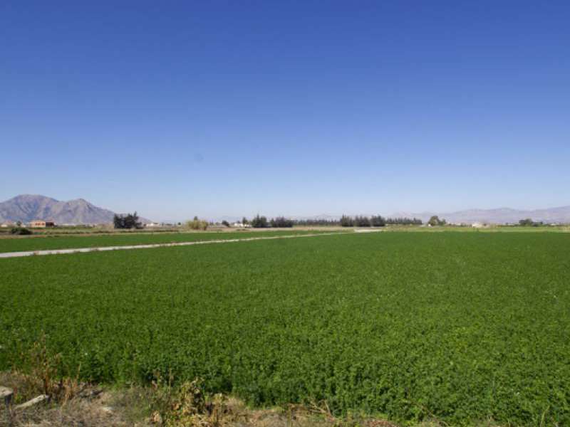 Venta - Chalet - Villa - San Bartolome - San BartolomÃ©