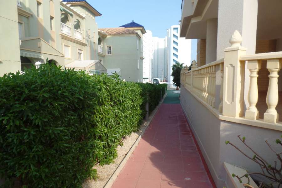 Venta - Piso - apartamento - A-GUARDAMAR DEL SEGURA - Sur (rotonda entrada)