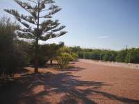 Продажа - Дом - Almoradi