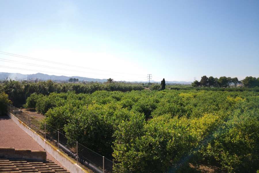 Продажа - Дом - Almoradi