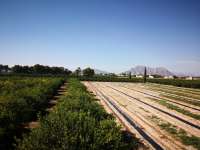 Продажа - Дом - Almoradi