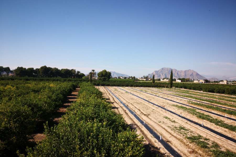 Продажа - Дом - Almoradi