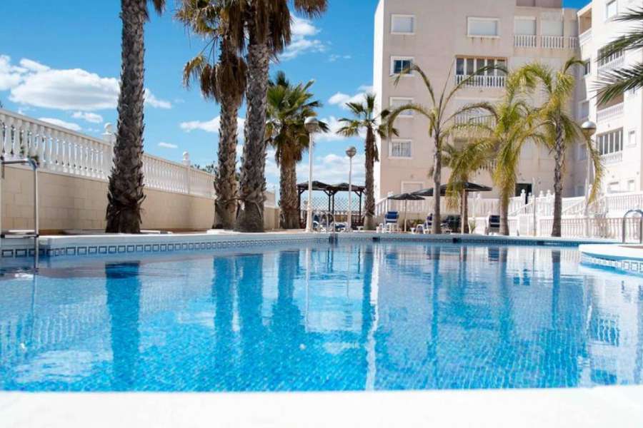 Venta - Piso - apartamento - A-GUARDAMAR DEL SEGURA - Oeste (Eden-Raso)