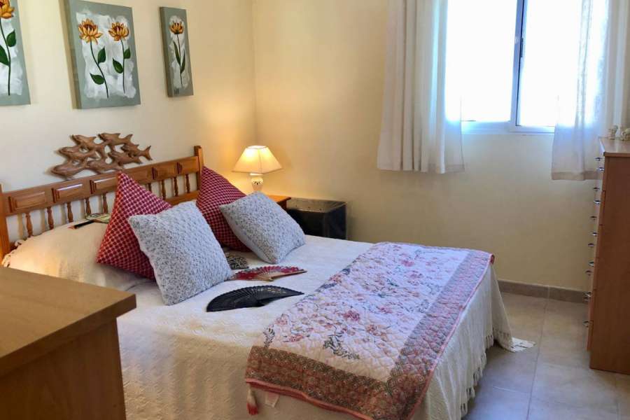 Sale - Estate - Catral