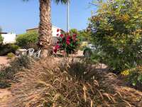 Sale - Estate - Catral