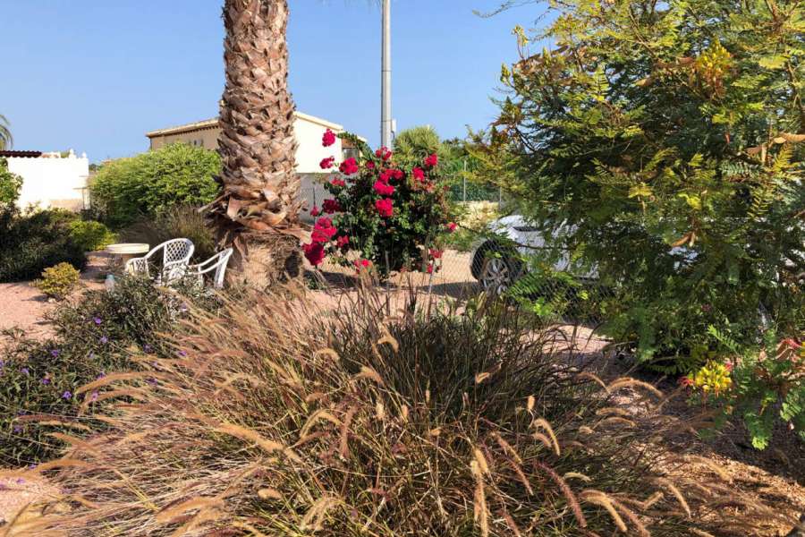 Sale - Estate - Catral