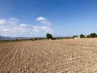 Sale - Estate - Catral