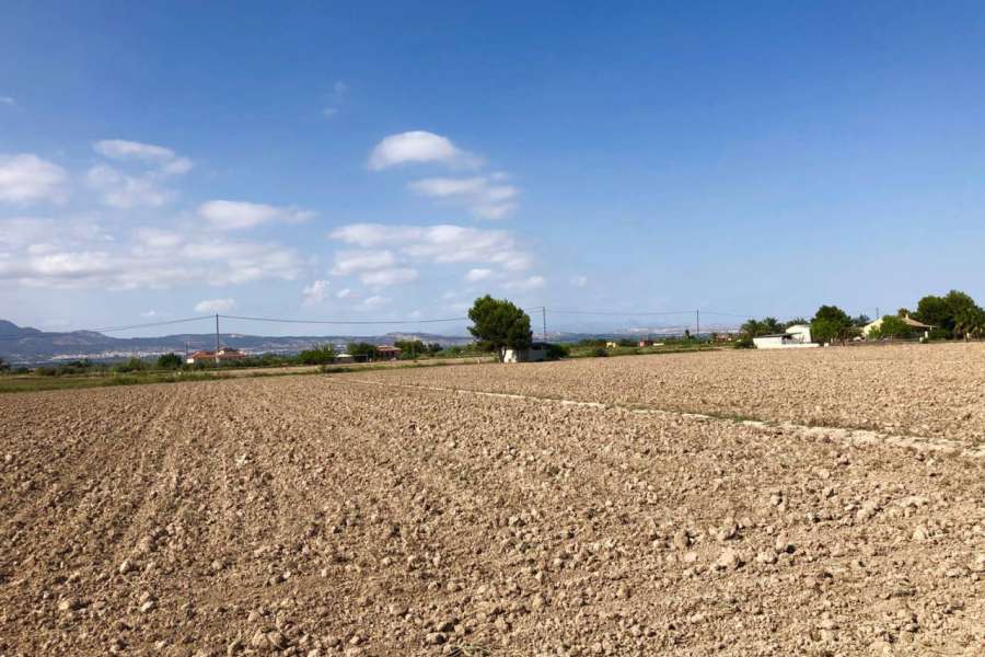 Sale - Estate - Catral