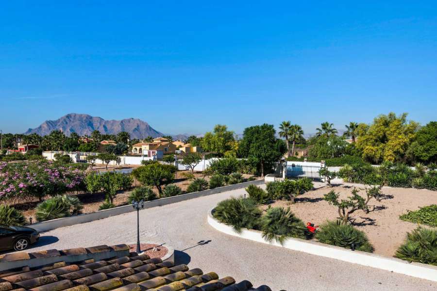 Sale - Estate - Almoradi