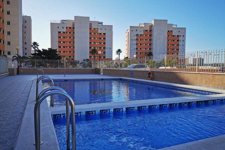 Venta - Piso - apartamento - A-GUARDAMAR DEL SEGURA - Puerto MasyMas