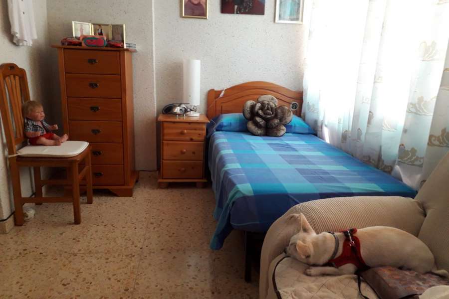 Venta - Piso - apartamento - A-BENIDORM - Benidorm