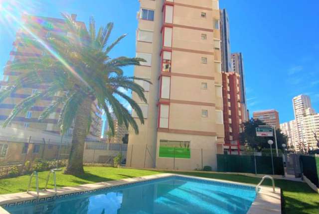 Piso - apartamento - Venta - A-BENIDORM - Benidorm