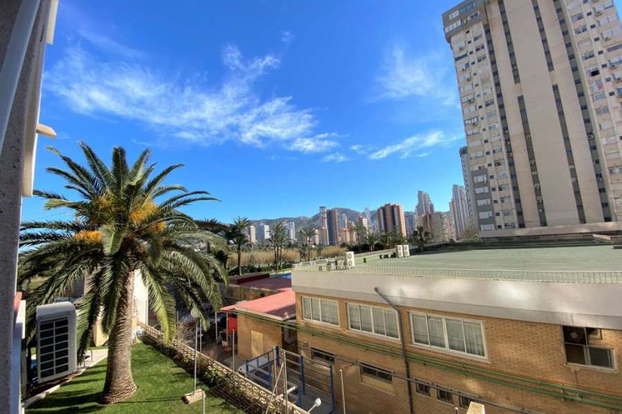 Venta - Piso - apartamento - A-BENIDORM - Benidorm