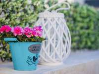 Venta - Bungalow - Chalet - adosado - Montesinos