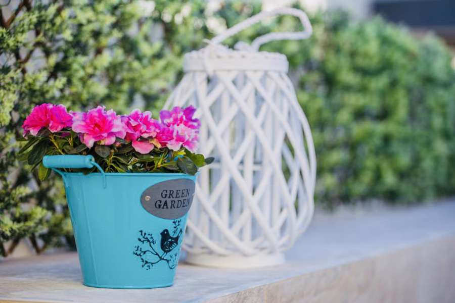 Venta - Bungalow - Chalet - adosado - Montesinos