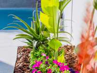 Venta - Bungalow - Chalet - adosado - Montesinos