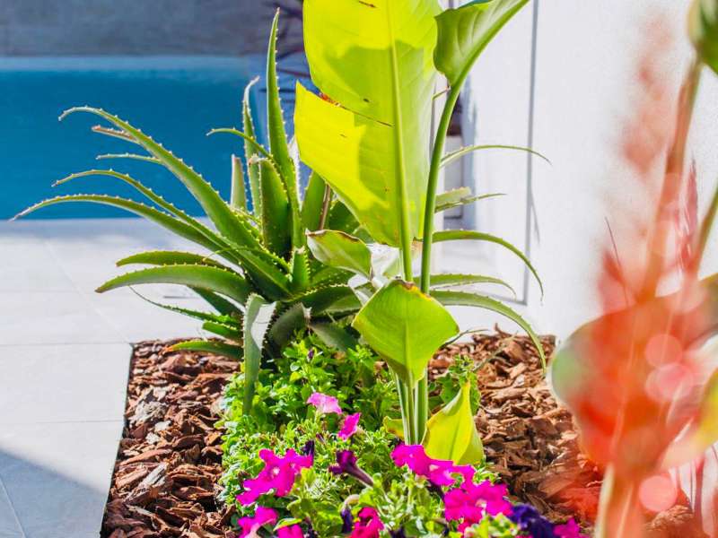 Venta - Bungalow - Chalet - adosado - Montesinos